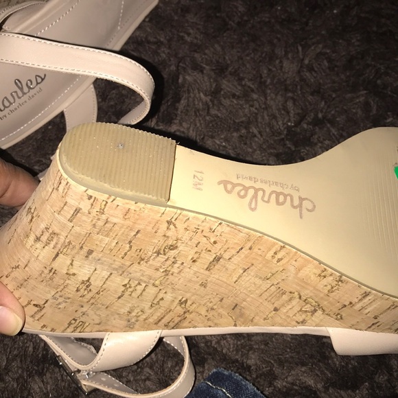 charles david lindy wedge